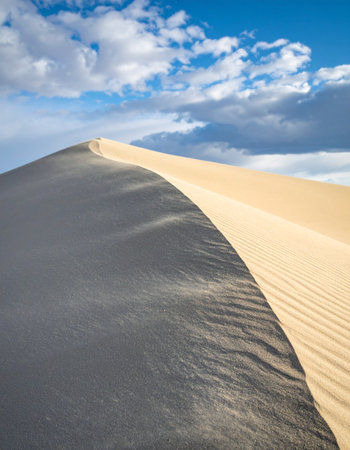 The sharp crest of a massive sand dune divides light and shadow, creating a dramatic, flowing line across the landscape.の素材