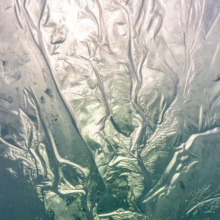 A macro view of a crumpled metallic surface, where light and shadow play across its reflective, crinkled texture.の素材