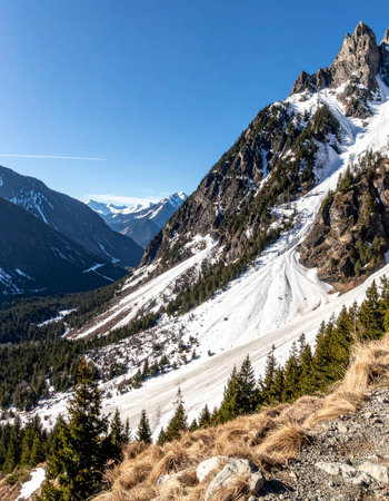 On a brilliant, clear day in a high alpine valley, the raw power of nature is on display.の素材