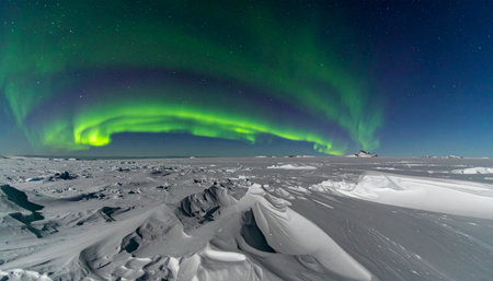 In the profound silence of a polar night, the sky awakens in a breathtaking spectacle.の素材