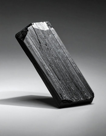 A single, raw black tourmaline crystal stands against a minimalist gray background.の素材