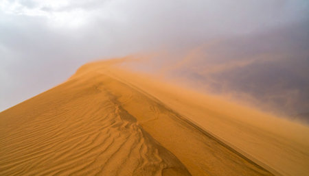 A powerful windstorm rages across the vast desert, whipping golden sand from the crest of a massive dune.の素材