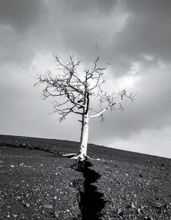 In a stark black and white landscape, a single, lifeless tree stands as a testament to resilience and the harsh beauty of nature.の素材