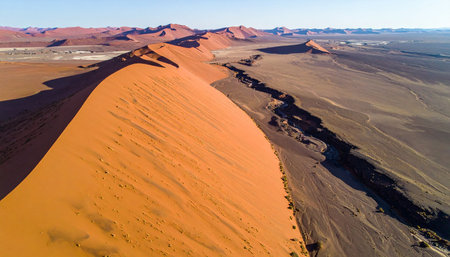 An awe-inspiring aerial perspective captures the sharp, winding crest of a giant red sand dune in the heart of Namibia's Sossusvlei.の素材