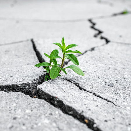 Against all odds, a determined green sprout emerges from a deep crack in the cold, grey concrete.の素材