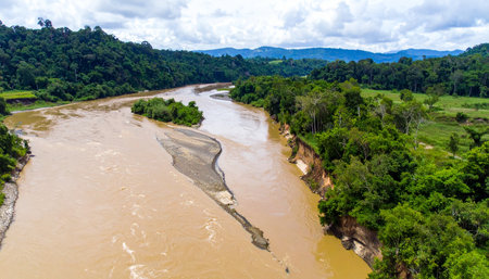 An aerial perspective captures the immense power of a wide, muddy river carving its path through a dense, untouched tropical rainforest.の素材