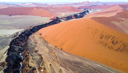 An awe-inspiring aerial perspective captures the stark contrast where a deep, ancient canyon carves its path through the vibrant orange dunes of the Namib Desert.の素材