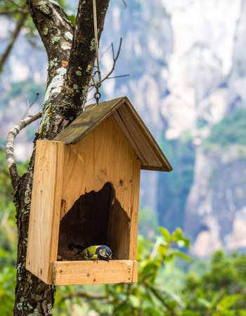 A small songbird finds a moment of peaceful rest inside a rustic wooden birdhouse hanging from a tree branch. With a beautiful, soft-focus mountain landscape in the background, this image evokes a sense of tranquility, safety, and the simple beauty of wildlife in its natural habitat.の素材