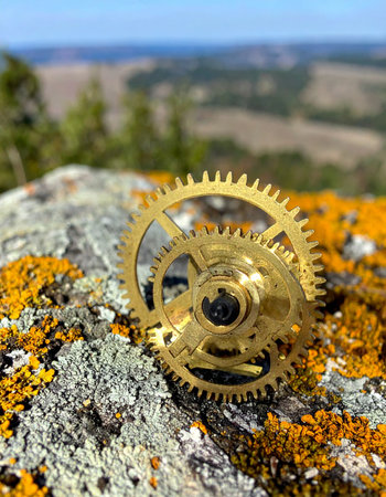 A detailed close-up of intricate golden clock gears, a symbol of precision and time, lies abandoned on a rugged stone covered in vibrant orange and grey lichen. The natural, organic texture of the rock contrasts with the mechanical perfection of the cogs, suggesting a story of lost time or the beautiful decay of technology returning to nature.の素材