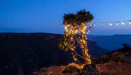 As twilight deepens over a vast, silent canyon, a solitary tree comes to life, wrapped in a warm embrace of glowing fairy lights. This magical scene evokes a sense of quiet celebration, wonder, and serene solitude, a beacon of light against the deep blue of the evening sky.の素材