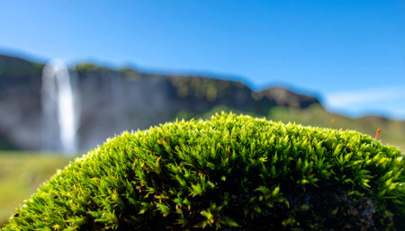 A detailed macro shot captures the vibrant texture of a lush green moss carpet. In the soft-focus background, a majestic waterfall cascades down a cliff under a clear blue sky, creating a scene of serene natural beauty and tranquility. This image evokes a sense of peace, exploration, and the intricate details of the natural world.の素材