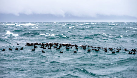 A large community of seabirds huddles together, forming a living raft that rises and falls with the turbulent, choppy waves of a stormy sea. Their resilience against the raw power of nature showcases the strength found in unity and survival in the wild.の素材