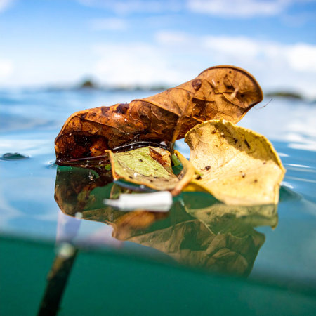 A solitary dried leaf drifts peacefully on the calm ocean surface, captured in a unique over-under perspective. This split view reveals both the serene blue sky above and the tranquil green depths below, symbolizing a moment of quiet transition and the beautiful balance between two worlds.の素材