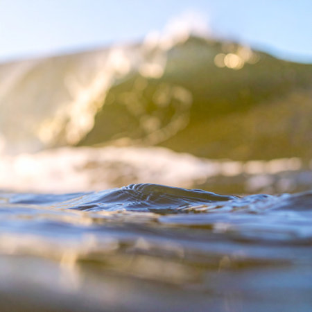 From an immersive, water-level perspective, a gentle ocean wave crests and catches the warm afternoon sun. The soft focus background creates a serene and tranquil mood, perfect for concepts of relaxation, mindfulness, and the pure beauty of nature.の素材