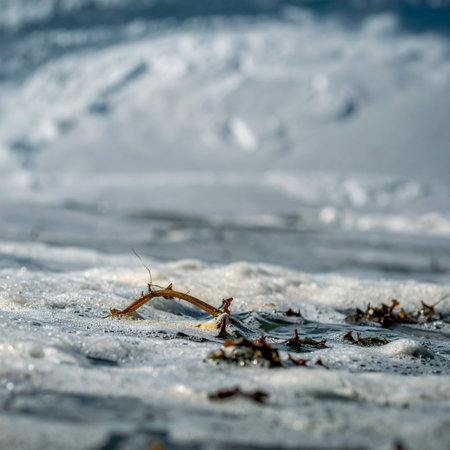 A small, determined yellow crab holds on tight amidst the chaotic churn of the ocean surf. This tiny crustacean showcases incredible resilience, battling the powerful, foamy waves in a testament to the enduring spirit of wildlife against the forces of nature.の素材