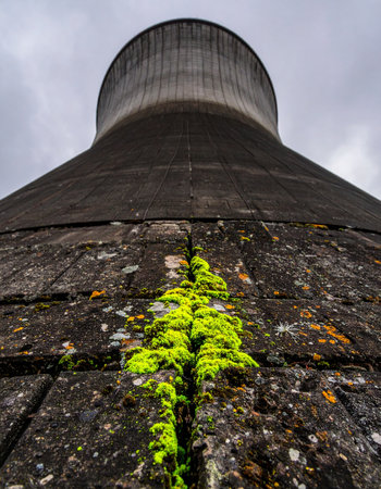 From a crack in the weathered concrete of a monumental cooling tower, a vibrant patch of bright green moss emerges. This powerful image captures the persistent and resilient force of nature reclaiming an industrial landscape, symbolizing hope and rebirth amidst decay under a somber, overcast sky.の素材