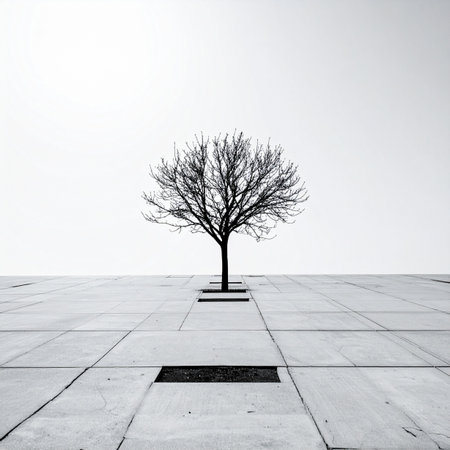 In a stark, minimalist urban landscape, a single bare tree stands as a testament to resilience. Its solitary form, set against a clean white sky and geometric concrete pavement, evokes a sense of quiet strength, solitude, and the persistent growth of nature in a structured world.の素材