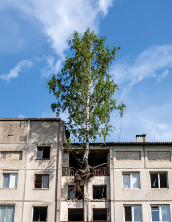 In a striking display of natures power, a vibrant birch tree bursts through the roof of a derelict apartment building. This surreal scene symbolizes resilience, rebirth, and the inevitable reclamation of urban spaces by the wild, offering a powerful metaphor for hope amidst decay.の素材