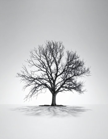 In the quiet stillness of a winter landscape, a single bare tree stands as a testament to resilience. Its intricate branches reach towards the sky, a stark and beautiful silhouette promising the return of life with the coming spring. A symbol of strength, patience, and enduring hope in solitude.の素材