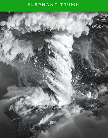 Captured in dramatic black and white, a colossal ocean wave churns with immense power, its form twisting into an abstract shape reminiscent of an elephants trunk. This is a raw display of natures untamed energy and chaotic beauty, a moment of pure, powerful force frozen in time.の素材