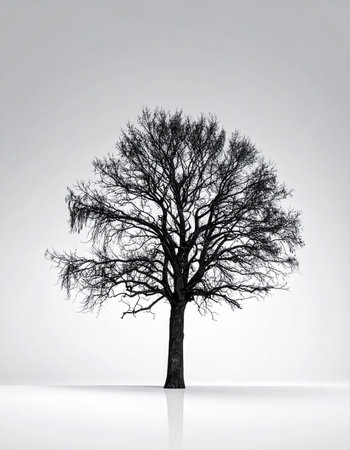 A single, leafless tree stands in stark silhouette against a pure white expanse. Its intricate branches reach out like veins, telling a story of resilience and quiet endurance through the cold winter. This minimalist, high-key image evokes a sense of peaceful solitude, contemplation, and the stark beauty of nature in its simplest form.の素材