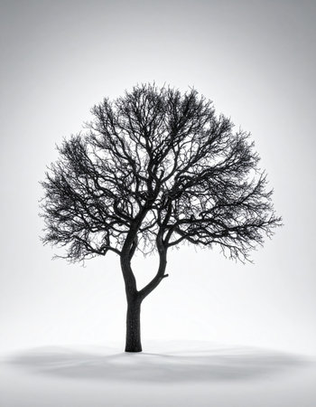In the quiet hush of a winters day, a single bare tree stands as a testament to resilience and strength. Its intricate branches reach out against a soft, white canvas of snow and sky, creating a powerful and serene scene of minimalist beauty. This image captures a moment of peaceful solitude and the enduring spirit of nature in its simplest form.の素材