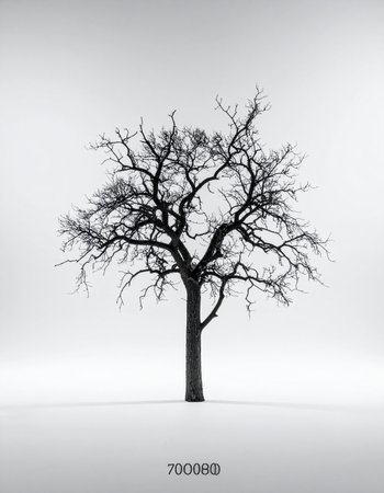 A single, leafless tree stands against a stark white background. Its intricate branches reach out, creating a powerful and elegant silhouette. This minimalist black and white image evokes a sense of quiet solitude, resilience, and the timeless beauty of natures cycles.の素材