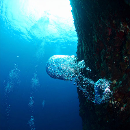 In the silent depths of the ocean, a single, perfect sphere of air clings to a rugged cliff face before beginning its ascent towards the sunlit surface. A moment of tranquil release, symbolizing breath, life, and the journey from the deep unknown to the light.の素材