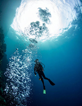 A lone scuba diver makes a steady ascent from the deep blue, their path marked by a shimmering curtain of air bubbles. The bright sunlit surface above represents the end of a successful exploration, a return to the world above after a journey into the quiet, mysterious depths of the ocean.の素材