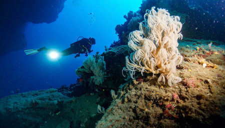 A lone scuba diver penetrates the deep, dark blue of an underwater cavern, their powerful flashlight beam cutting through the darkness to reveal the stunning and mysterious formations of a hidden coral reef. This image captures the spirit of adventure, exploration, and the quiet beauty of the unknown depths.の素材