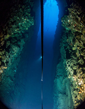 A lone diver descends along a guide rope into the silent, deep blue mystery of an underwater canyon. The light from the surface fades, replaced by the focused beam of their own lamp, illuminating the ancient rock walls of the abyss on a journey of personal challenge and discovery.の素材