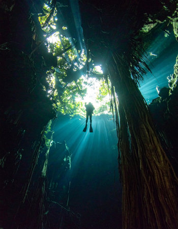 A scuba diver ascends towards the light filtering through the jungle canopy into a pristine cenote. The sunbeams create a cathedral-like atmosphere, capturing a moment of serene exploration and the breathtaking beauty of the underwater world.の素材