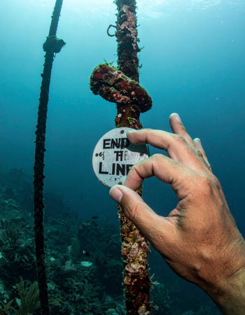 A scuba diver reaches a designated point on a guide rope, marked by a sign reading End of the Line. The divers hand, giving a clear OK signal, confirms the successful navigation to this final checkpoint deep beneath the oceans surface.の素材