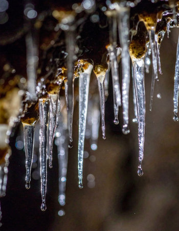 A macro view captures the delicate beauty of winter as sharp icicles hang, glistening with captured light. Each frozen droplet tells a story of the cold, creating a beautiful, abstract pattern against a softly blurred background, evoking a sense of quiet and natural artistry.の素材