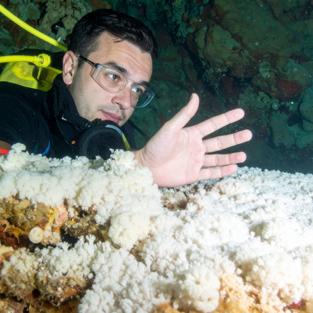 A focused marine biologist conducts underwater research, carefully observing a coral spawning event. This critical moment highlights the delicate beauty and fragility of marine ecosystems and the scientific efforts dedicated to their conservation and study.の素材