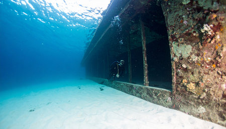 Sunlight filters through clear blue water, illuminating a massive shipwreck resting silently on the sandy seabed. A lone scuba diver explores the rusted hull, a testament to a forgotten past now home to marine life. This scene evokes a sense of adventure, mystery, and the quiet beauty of the deep sea.の素材