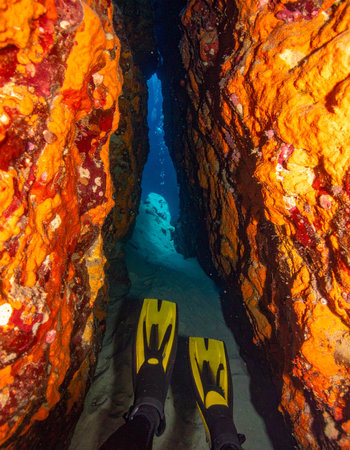 A first-person perspective captures the thrilling moment of swimming through a tight, colorful underwater canyon. Yellow fins lead the way into the deep blue unknown, evoking a sense of adventure, discovery, and the mysterious beauty of the oceans hidden passages.の素材