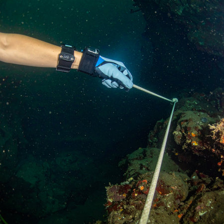 A dedicated marine biologist carefully extends a measuring transect along a vibrant coral reef. In the quiet depths, they meticulously collect data to monitor the health of this vital underwater ecosystem, contributing to crucial conservation efforts.の素材