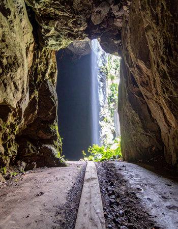 A wooden path leads the way through a dark, ancient cave, guiding the eye towards a breathtaking opening. Outside, a beam of light illuminates a lush, vibrant jungle, promising adventure and a world of natural wonder just beyond the threshold.の素材