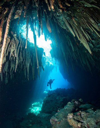 A lone scuba diver is silhouetted against brilliant sunbeams piercing the crystal-clear waters of a sacred cenote. Exploring the ancient, submerged cave with its dramatic stalactites, the diver experiences a moment of serene discovery in a hidden underwater world, a testament to natures breathtaking beauty and mystery.の素材