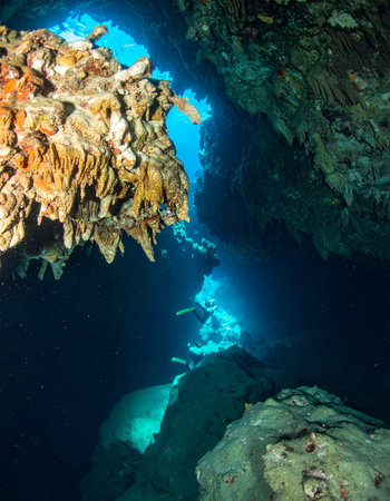 Sunlight penetrates the deep, clear water, illuminating the ancient stalactites of a hidden cenote. This tranquil yet mysterious underwater world invites adventurers to explore its silent, submerged chambers and discover the secrets held within the earth.の素材