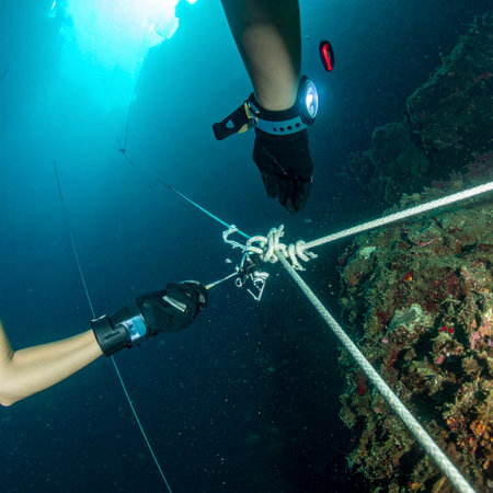 In the deep blue, a team of technical divers works in perfect sync, meticulously setting up a guideline. Their focused collaboration highlights the precision and teamwork required for underwater scientific research and exploration missions.の素材