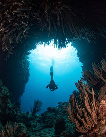 From the mysterious darkness of a coral-lined underwater cave, a lone diver is silhouetted against the brilliant blue light of the open ocean. This image captures a moment of serene exploration, symbolizing a journey towards freedom, discovery, and the beautiful unknown.の素材