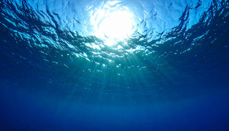 From the quiet depths, sunbeams pierce the deep blue, illuminating the water with a sense of hope and tranquility. This view from below captures a moment of serene solitude, inviting contemplation and a feeling of peaceful immersion in natures vast beauty.の素材