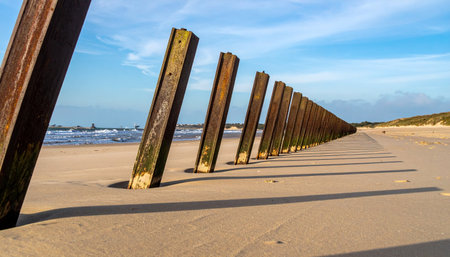 A line of weathered wooden posts stands firm against the coastal elements, their long shadows stretching across the golden sand. This breakwater creates a powerful leading line, guiding the eye towards the distant ocean under a vast, open sky, evoking a sense of tranquility, persistence, and the endless passage of time.の素材