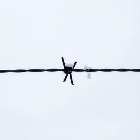 A single, sharp barb on a wire stands out against a stark, white winter background. This minimalist and monochrome image evokes feelings of isolation, cold boundaries, and the harsh beauty of survival in a bleak landscape.の素材