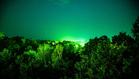 A dense forest canopy is silhouetted against a mysterious and vibrant green night sky. The otherworldly glow creates a surreal and enchanting atmosphere, perfect for themes of fantasy, mystery, or the strange beauty of nature at night.の素材