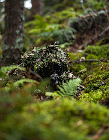 A detailed close-up captures the intricate textures of a lush, green mossy clump on the forest floor. The soft, blurred background creates a serene and peaceful atmosphere, highlighting the quiet beauty and complexity of the woodland ecosystem.の素材