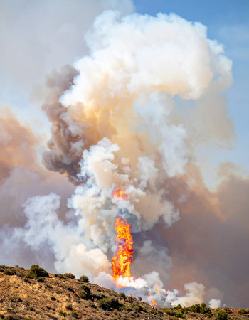 A powerful and violent wildfire erupts from a dry, grassy hillside, sending a massive column of thick white and grey smoke billowing into the clear blue sky. The intense orange flames at the base signify the destructive force of nature, a stark visual representation of environmental crisis, climate change, and natural disasters.の素材