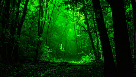 A mysterious path winds through a dark, dense forest, leading towards an enchanting and ethereal green light. The scene evokes a sense of magic, wonder, and the beginning of a fantasy adventure into the unknown.の素材